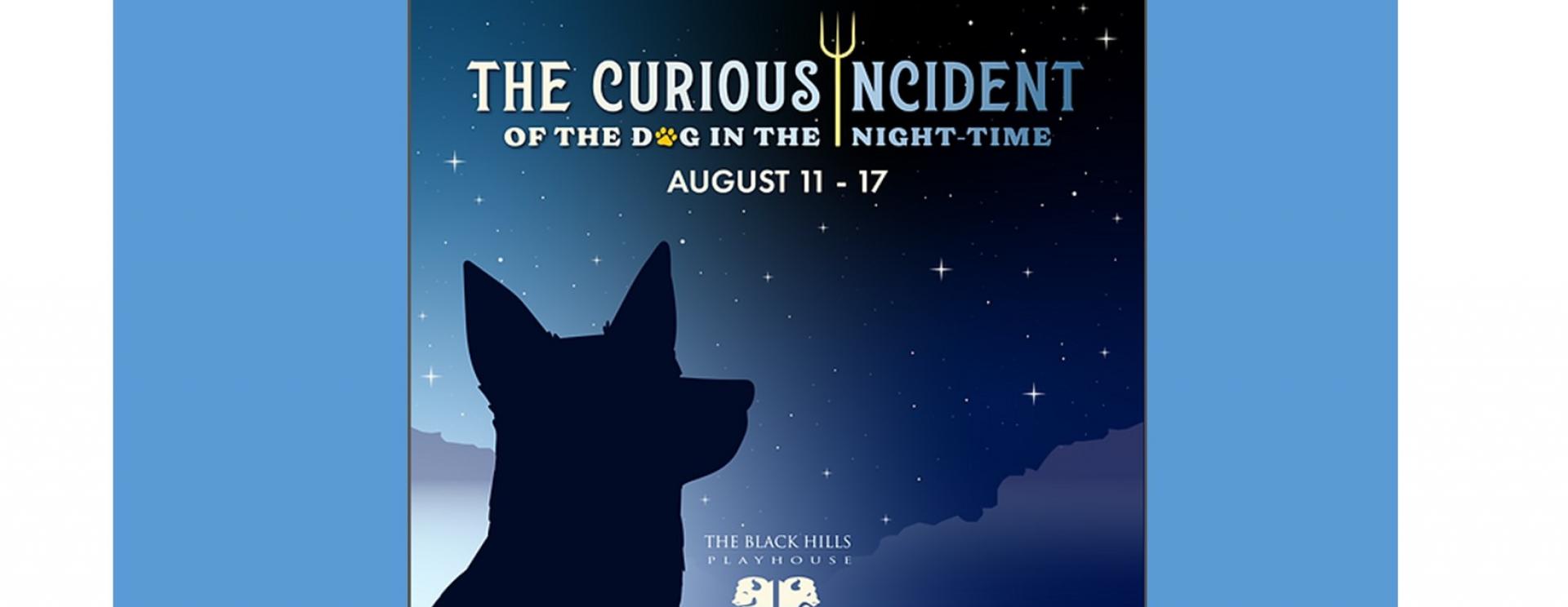 The Curious Incident of the Dog in the Night-Time